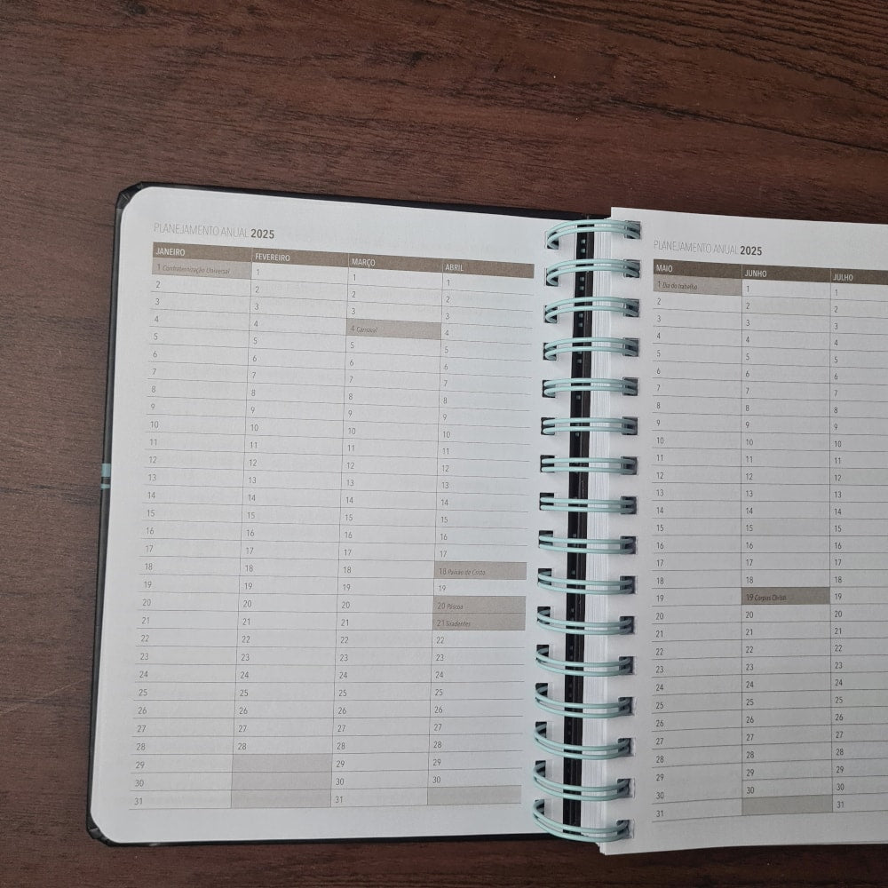 Agenda Executiva 2025 | Leão de Juda | Capa Dura Espiral