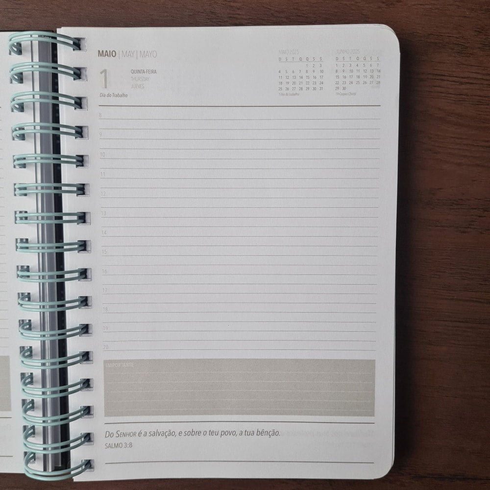 Agenda Executiva 2025 | Leão de Juda | Capa Dura Espiral