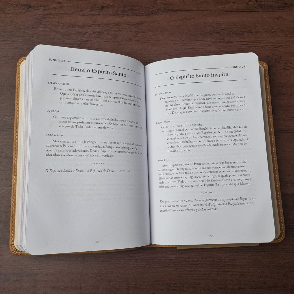 Conhecendo a Deus | Joel Armstrong | Capa Luxo