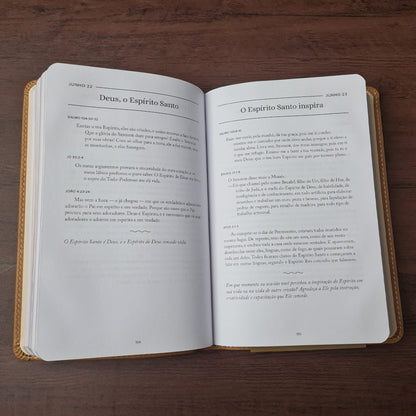 Conhecendo a Deus | Joel Armstrong | Capa Luxo