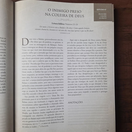Estudando a Bíblia com Matthew Henhy
