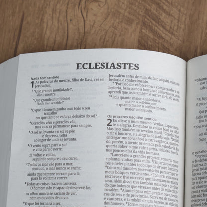 Bíblia Sagrada Salvos Pela Graça Normal  | NVI | Letra Normal | Capa Brochura