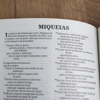 Bíblia Sagrada Trigo | NVI | Letra Normal | Capa Brochura