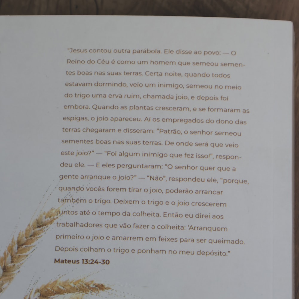 Bíblia Sagrada Trigo | NVI | Letra Normal | Capa Brochura