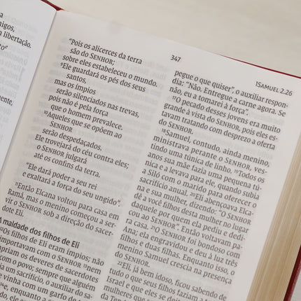 Bíblia Sagrada Leitura Perfeita  | NVI | Letra Gigante | Capa Couro Soft Vinho