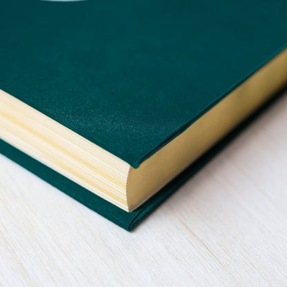Bíblia Sagrada | NVI | Letra Grande | Capa Dura | Flor Minimalista