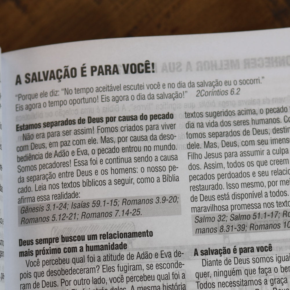 Bíblia Sagrada | NAA | Letra Grande | Edição para Estudo Com Espaço Para Anotações