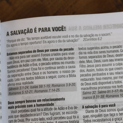 Bíblia Sagrada | NAA | Letra Grande | Edição para Estudo Com Espaço Para Anotações