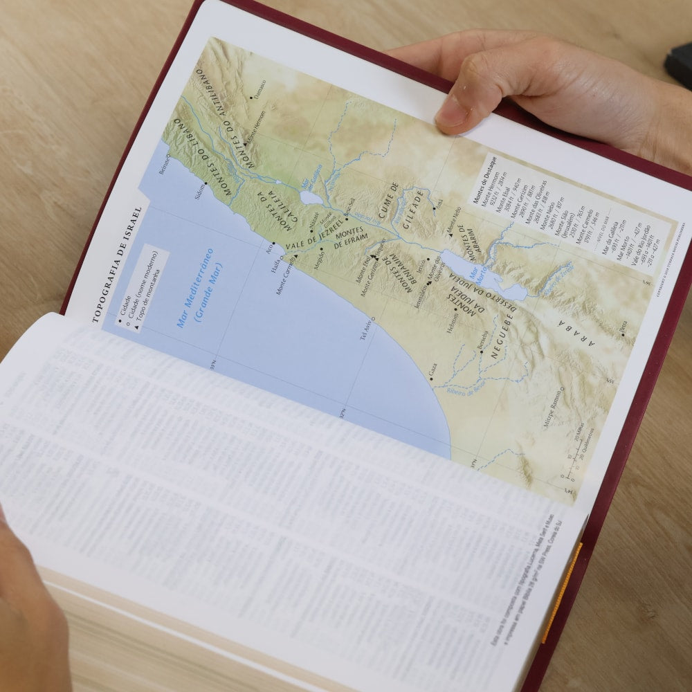 Bíblia de Estudo Aplicação Pessoal | NVT | Letra Grande | Luxo Vinho