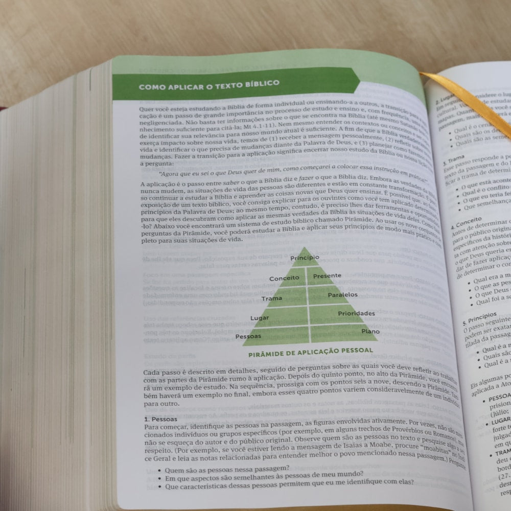 Bíblia de Estudo Aplicação Pessoal | NVT | Letra Grande | Luxo Vinho