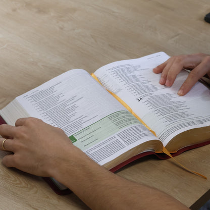 Bíblia de Estudo Aplicação Pessoal | NVT | Letra Grande | Luxo Vinho