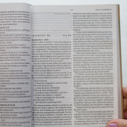 Bíblia 365 Leão | NVT | Letra Grande | Capa Dura
