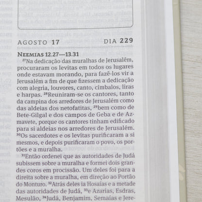 Bíblia 365 Amor Perfeito | NAA | Letra Grande | Capa Dura