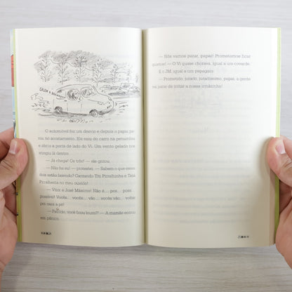 Angelina Purpurina no Parque de Diversões | Fanny Joly