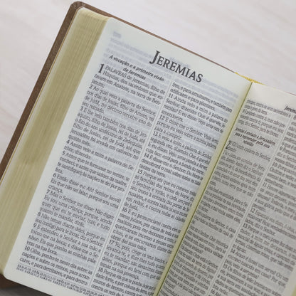 Bíblia do Culto com Harpa Cristã e Corinhos | ARC | Letra Gigante | Capa Semi-flexível Nude