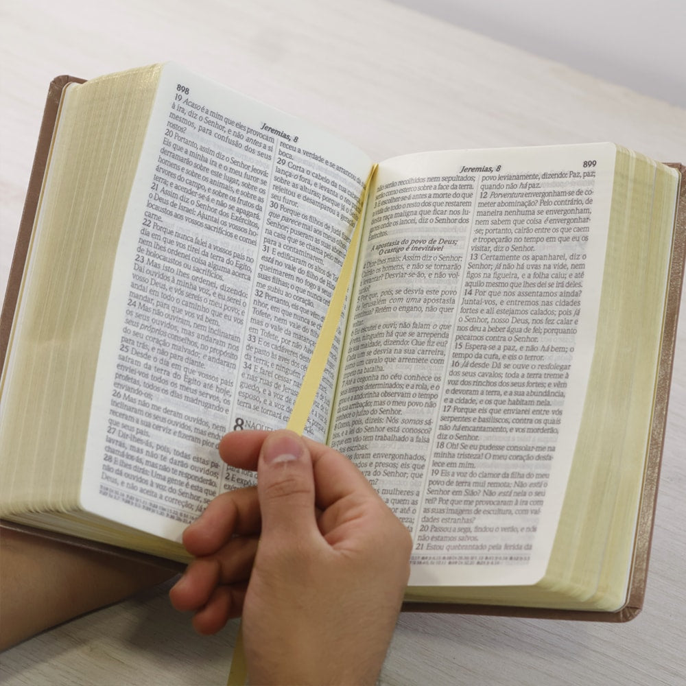 Bíblia do Culto com Harpa Cristã e Corinhos | ARC | Letra Gigante | Capa Semi-flexível Nude