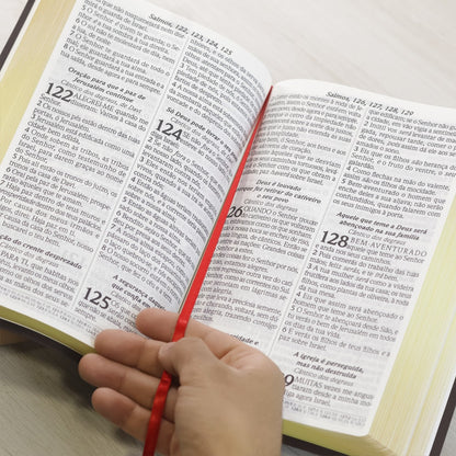 Bíblia do Culto com Harpa Cristã e Corinhos | ARC | Letra Extra Gigante | Capa Telha