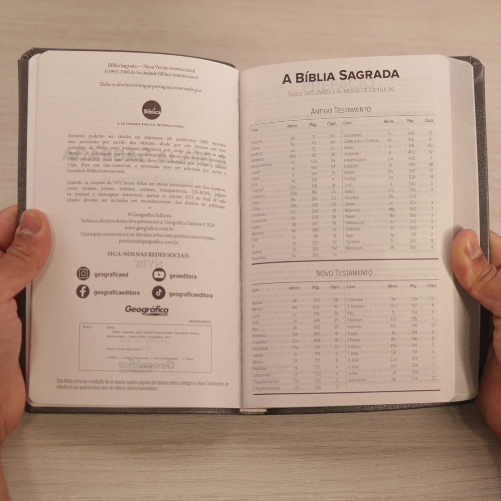 Bíblia Sagrada | NVI | Letra Normal | Capa Luxo Cinza