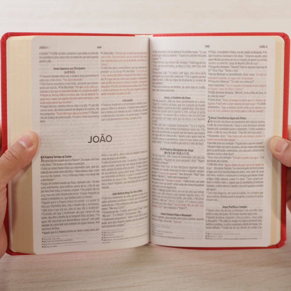 Bíblia Sagrada | NVI | Letra Normal | Capa Luxo Vermelha