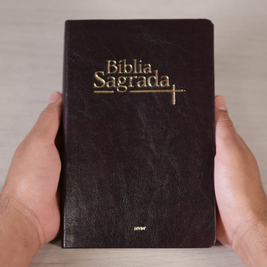 Bíblia Sagrada | NVI | Letra Normal | Capa Luxo Vinho