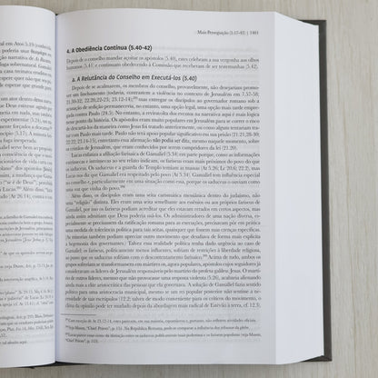 Comentário Exegético Atos | Volume 2 | Craig S Keener