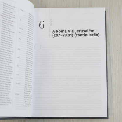 Comentário Exegético Atos | Volume 4 | Craig S Keener