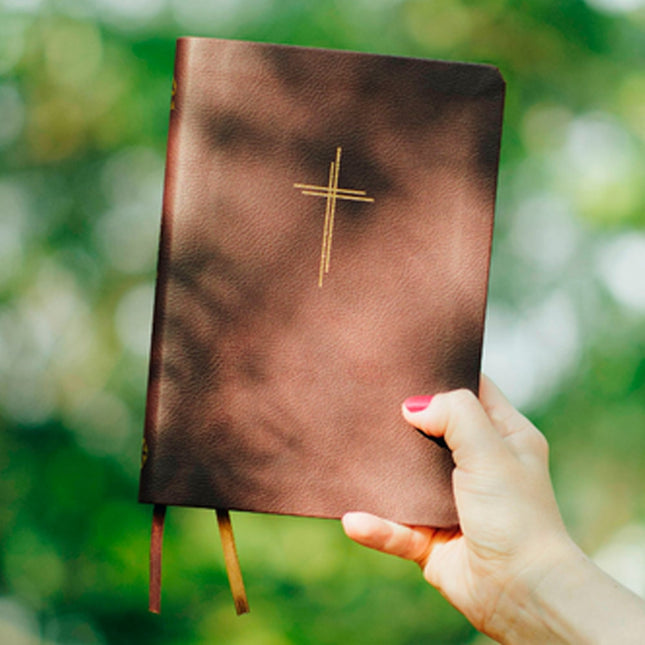 Bíblia Sagrada Slim Livres | NAA | Capa Vinho