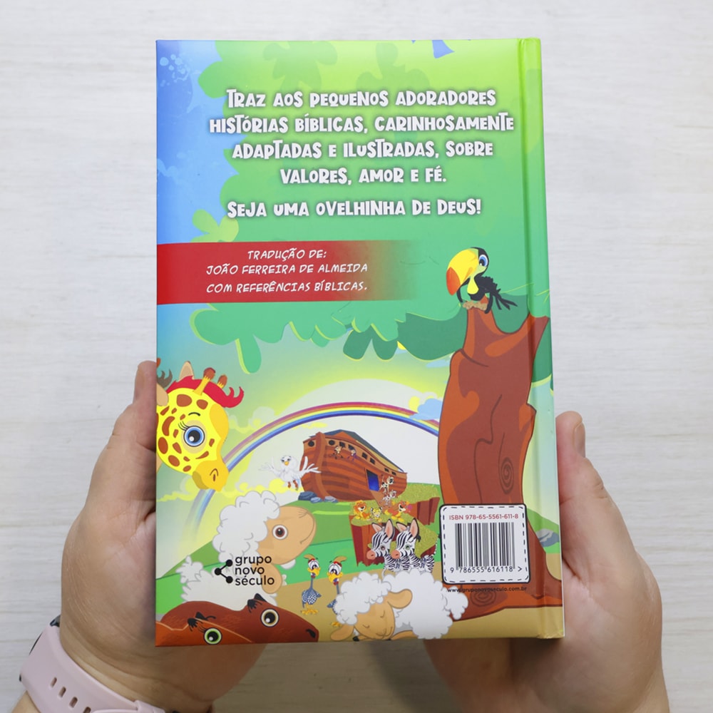 Biblia Infantil | Antigo E Novo Testamento
