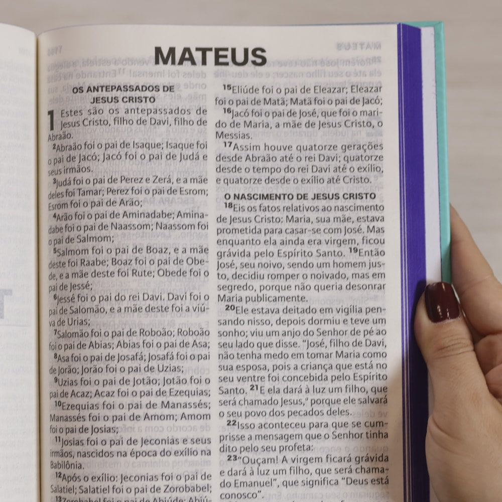 Nova Bíblia Viva | NBV | Letra Extragrande | Capa Louvor