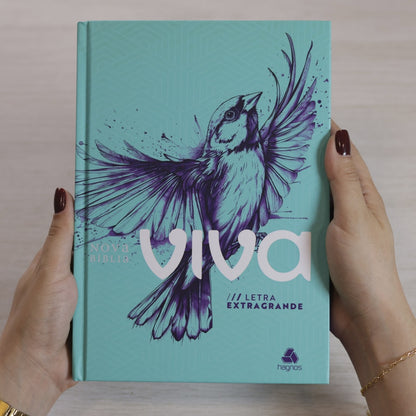 Nova Bíblia Viva | NBV | Letra Extragrande | Capa Louvor