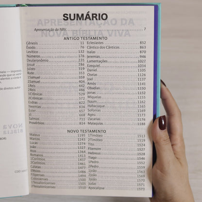 Nova Bíblia Viva | NBV | Letra Extragrande | Capa Louvor