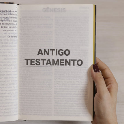 Nova Bíblia Viva | NBV | Letra Extragrande | Capa Criador