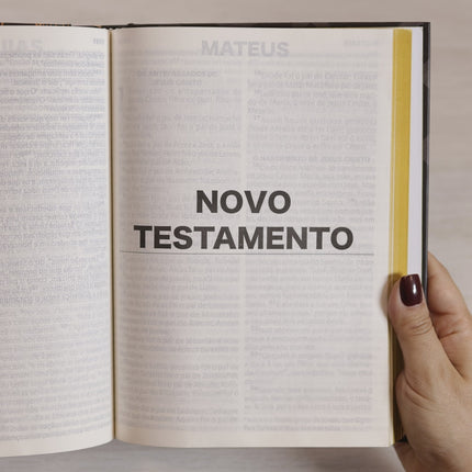 Nova Bíblia Viva | NBV | Letra Extragrande | Capa Criador