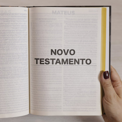 Nova Bíblia Viva | NBV | Letra Extragrande | Capa Criador