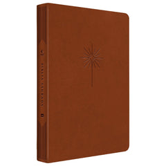 Collection image for: Bíblia com a Nova Versão Transformadora