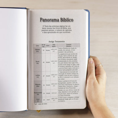 Bíblia Sagrada Vitral Azul | NVI | Letra Grande | Capa Dura