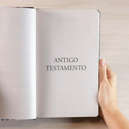 Bíblia Sagrada Leão Yahweh | NVI | Letra Grande | Capa Dura