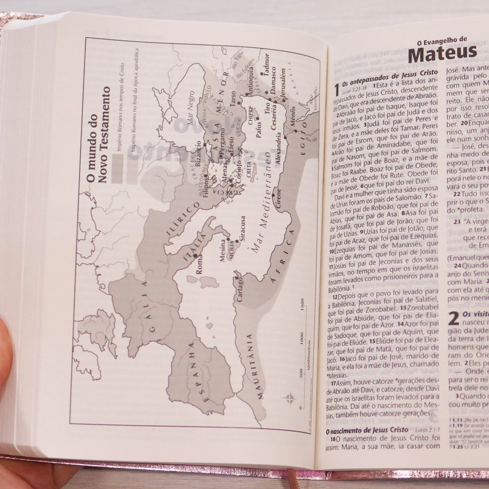 Bíblia Sagrada | NTLH | Letra Grande | Capa Cristal Rosa
