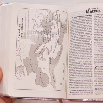Bíblia Sagrada | NTLH | Letra Grande | Capa Cristal Rosa