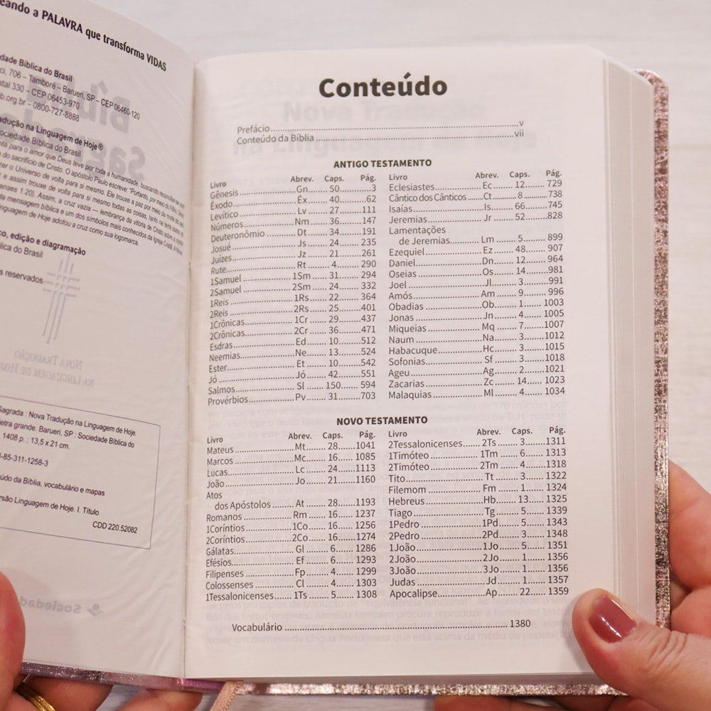 Bíblia Sagrada | NTLH | Letra Grande | Capa Cristal Rosa