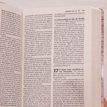 Bíblia Sagrada | NTLH | Letra Grande | Capa Cristal Rosa