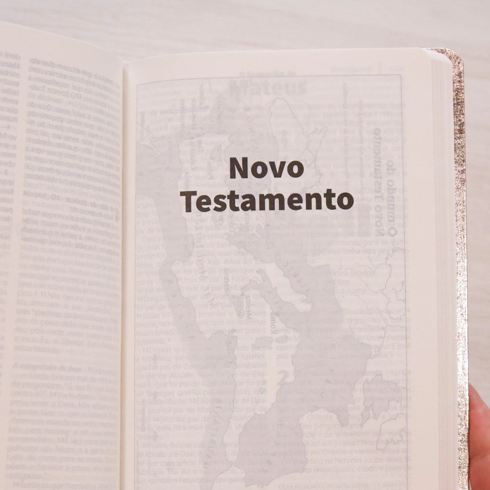 Bíblia Sagrada | NTLH | Letra Grande | Capa Cristal Rosa