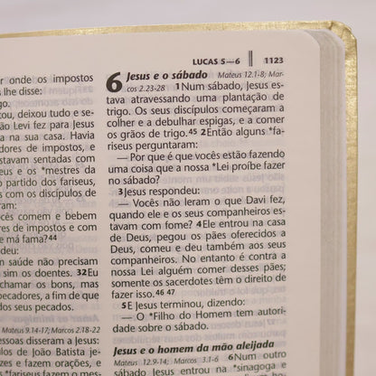 Bíblia Sagrada | NTLH | Letra Grande | Capa Cristal Dourado