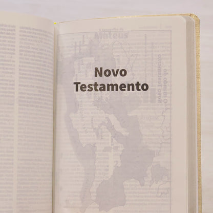 Bíblia Sagrada | NTLH | Letra Grande | Capa Cristal Dourado