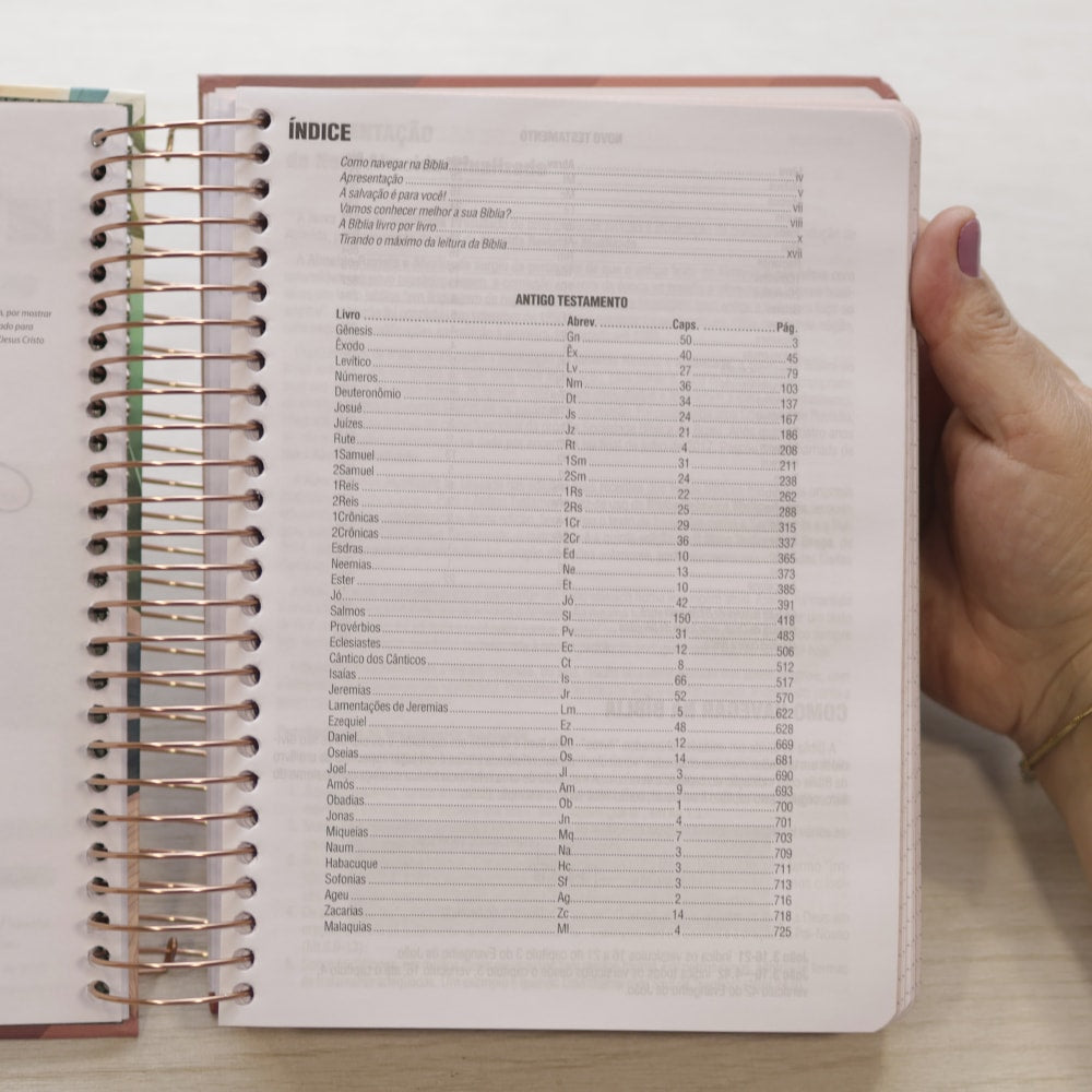 Bíblia Jornada Slim com Planner | NAA | Espaço Para Anotações | Capa Dura Espiral