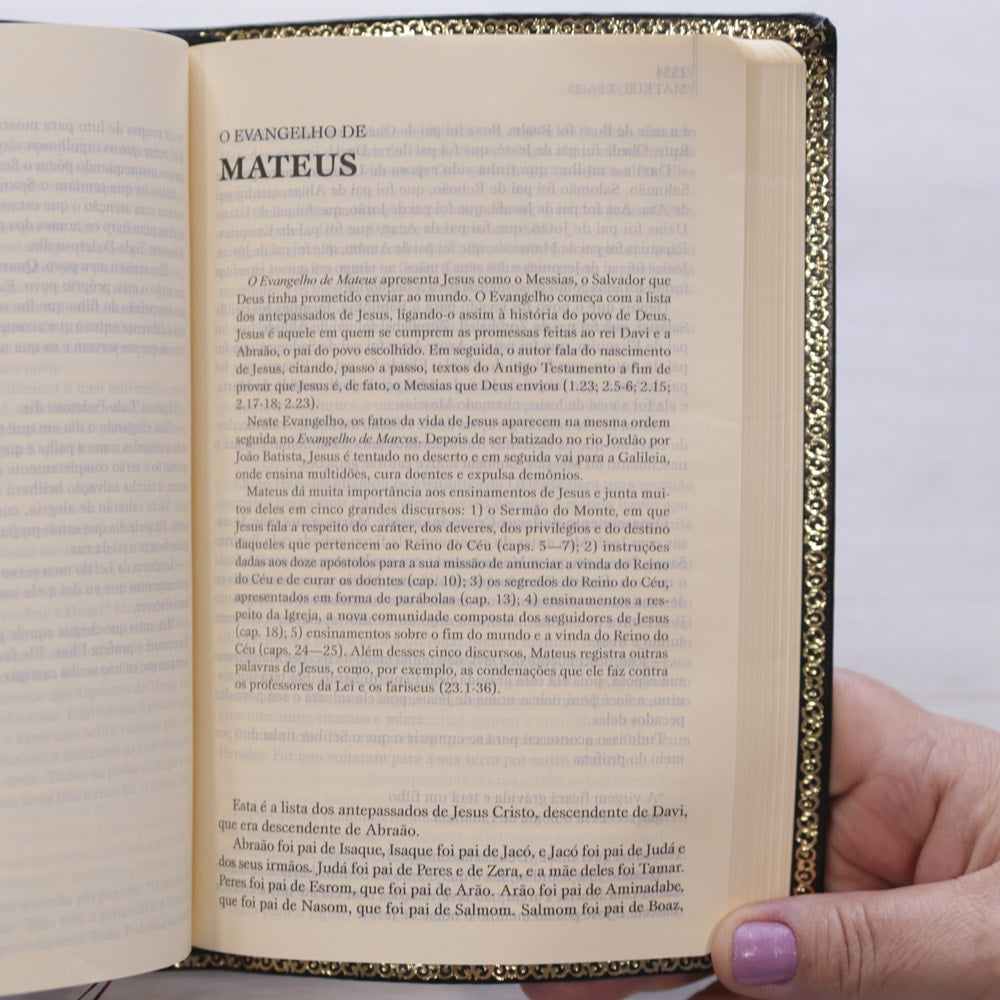 O Livro dos Livros | NTLH | Edição Literária da Bíblia Sagrada