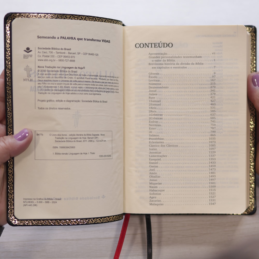 O Livro dos Livros | NTLH | Edição Literária da Bíblia Sagrada