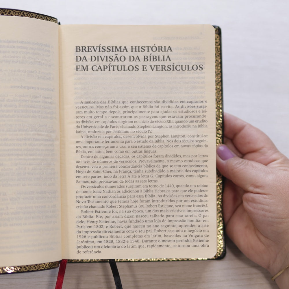 O Livro dos Livros | NTLH | Edição Literária da Bíblia Sagrada