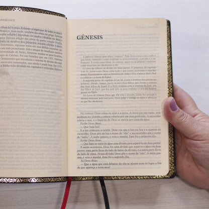 O Livro dos Livros | NTLH | Edição Literária da Bíblia Sagrada