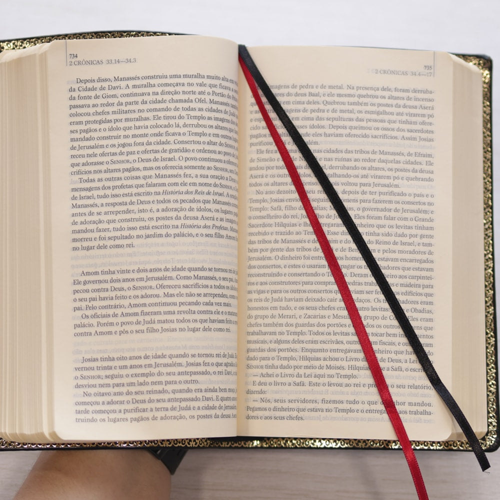 O Livro dos Livros | NTLH | Edição Literária da Bíblia Sagrada